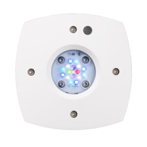 Prime 16 HD LED Reef Light
