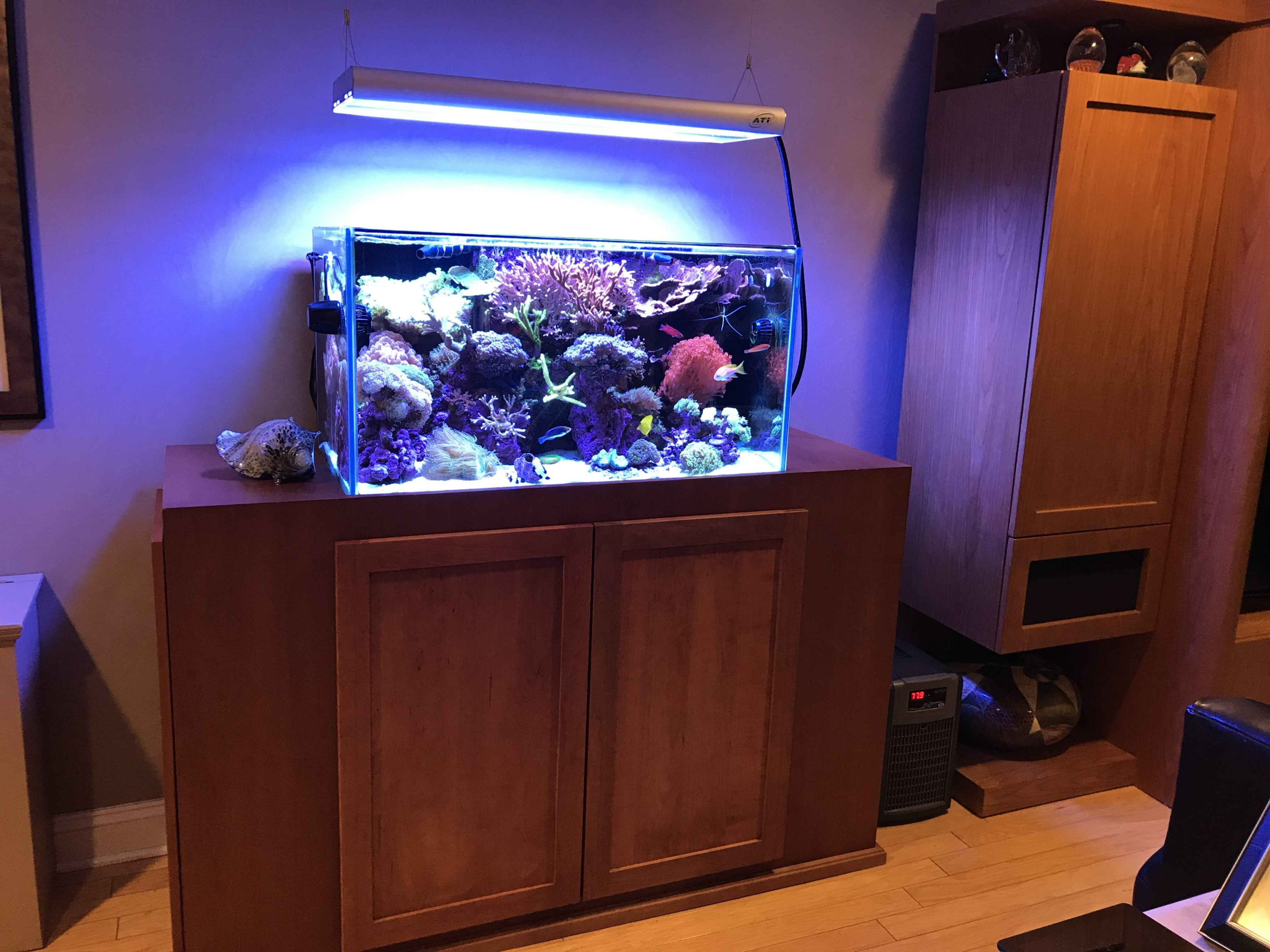 Neptune Apex Controller is worth it