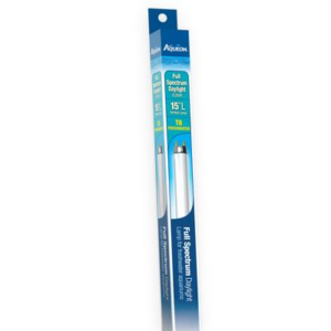 T8 Fluorescent Lamp - 14w Daylight