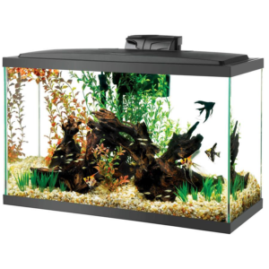 29 Gallon Aquarium Starter Kit
