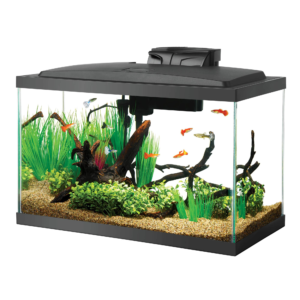 10 Gallon Aquarium Starter Kit