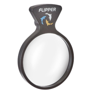 DeepSee Viewer  3 in