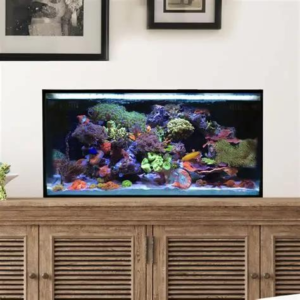 Fusion 25 AIO Lagoon Aquarium Desktop Starter Kit