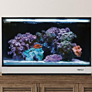Fusion Pro 2 20 AIO Aquarium w/ Pedestal White