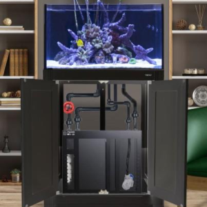 INT 50 Lagoon w/ Stand - Complete Reef System Black