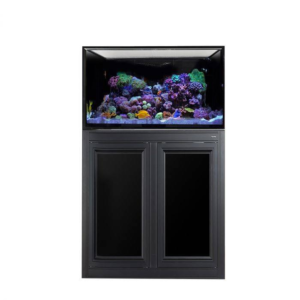 INT 75 w/ Stand Black