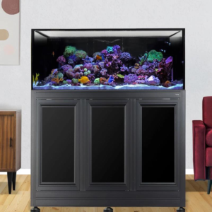 INT 100 w/ Stand Black