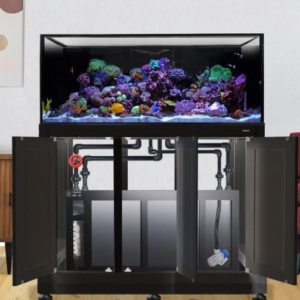 INT 100 w/ Stand - Complete Reef System Black