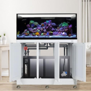 EXT 100 w/ Stand - Complete Reef System White