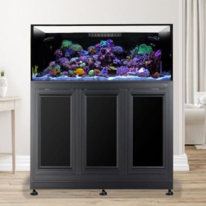 EXT 100 w/ Stand Black
