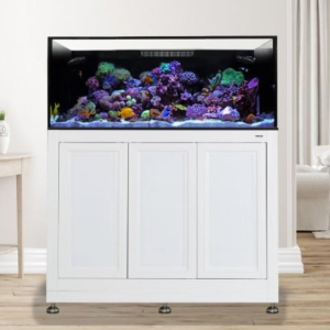 EXT 100 w/ Stand White