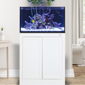 EXT 50 Lagoon w/ Stand White