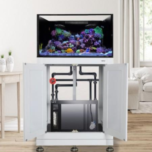 EXT 75 w/ Stand - Complete Reef System White