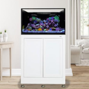 EXT 75 w/ Stand White