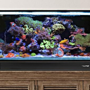 Fusion 25 AIO Lagoon Aquarium w/ Pedestal Black