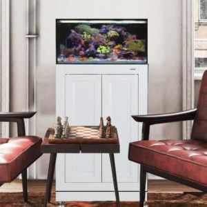Fusion Pro 2 25 AIO Lagoon w/ Stand  White