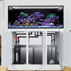 INT 100 w/ Stand - Complete Reef System White