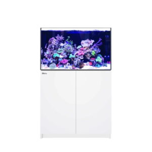 Reefer 300 G3 White