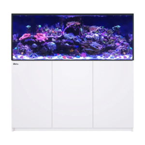 Reefer 625 G3 White