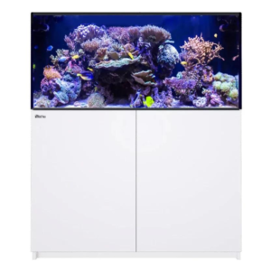 Reefer 425 G3 White