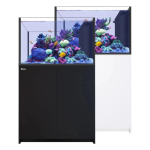 Reefer Peninsula 350 G3 Black