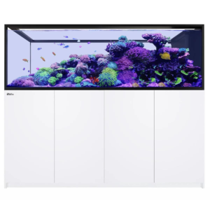 Reefer Peninsula S-950 G3 White