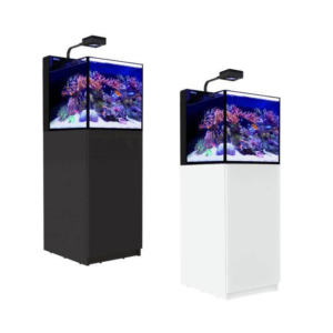 Max Nano Peninsula G2 Black