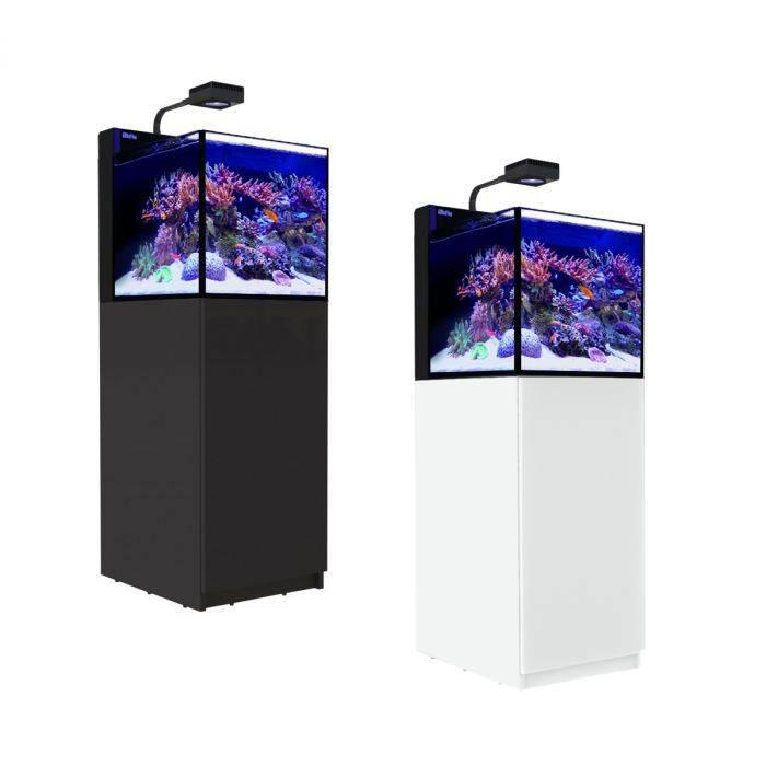 Max Nano Peninsula G2 Black