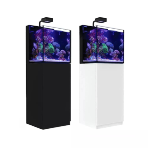 Max Nano G2 XL Black