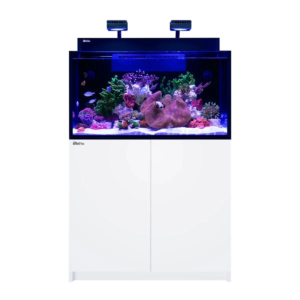 Max Nano G2 XXL White
