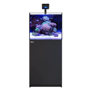 Reefer MAX 170 G3 Black