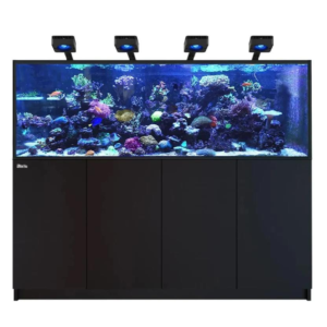 Reefer MAX 750 G3 Black