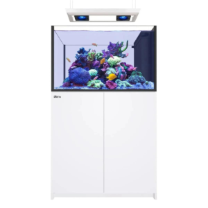 Reefer MAX Peninsula 350 G3 White