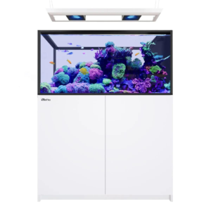 Reefer MAX Peninsula 500 G3 White