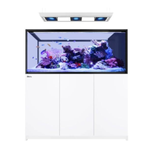 Reefer MAX Peninsula S-700 G3 White