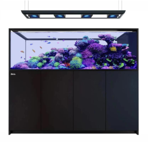 Reefer MAX Peninsula S-950 G3 Black