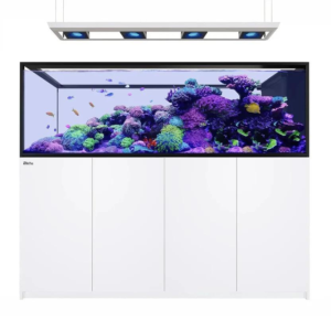 Reefer MAX Peninsula S-950 G3 White
