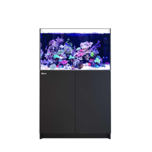 Reefer 300 G3 Black