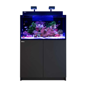 Max Nano G2 XXL Black