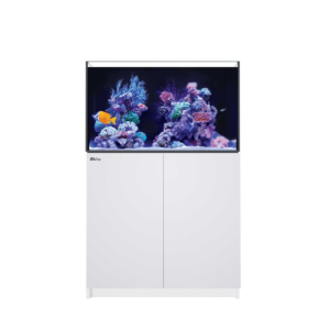 Reefer 250 G3 White