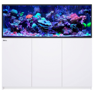 Reefer 525 G3 White