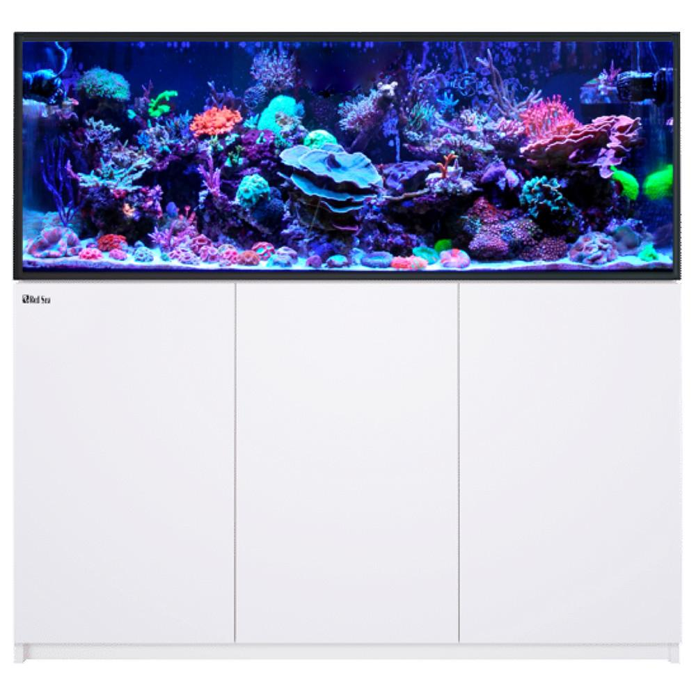 Reefer 525 G3 White
