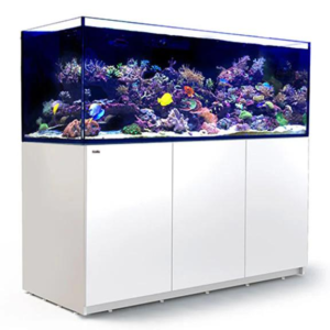 Reefer 750 G3 White