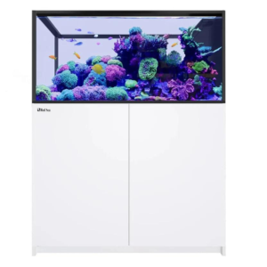 Reefer Peninsula 500 G3 White