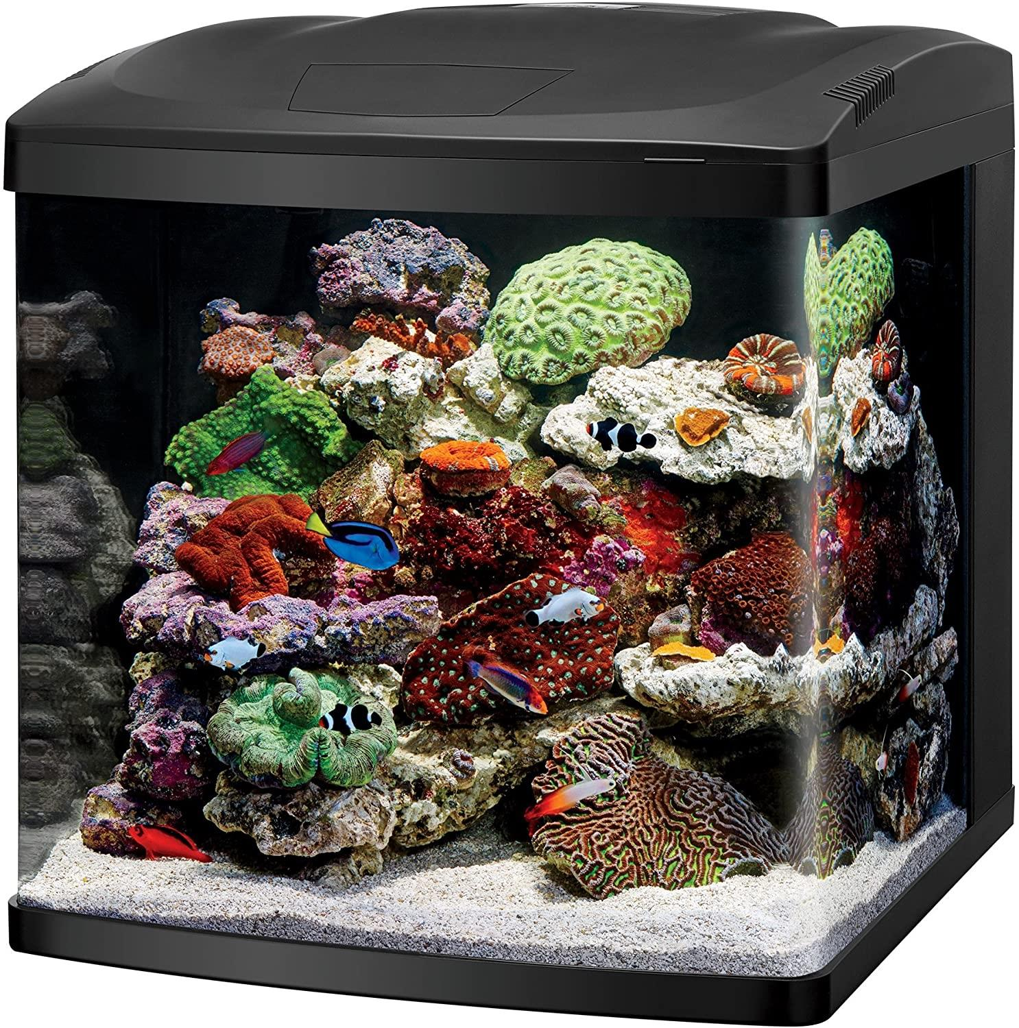 Coralife BioCube 32 gal Aquarium Kit 32 gallon